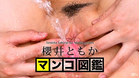 Tomoka Sakurai 薄めの陰毛
