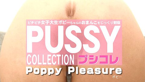 Poppy Pleasure ドキュメント