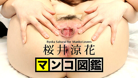 Ryoka Sakurai 巨乳